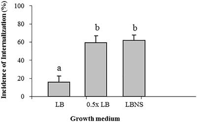 Salmonella enterica Growth Conditions Influence Lettuce Leaf Internalization